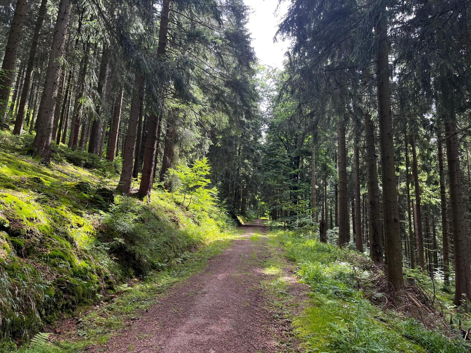 Gaestehaus Im Erzgebirge Zwönitz エクステリア 写真